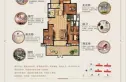 顺达金水湾户型图