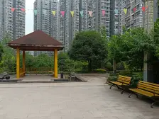 茶园两室两厅一卫,业主诚意出售,