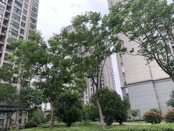 长征家苑实景图