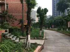 陈家坪 南方花园D3区二房80万