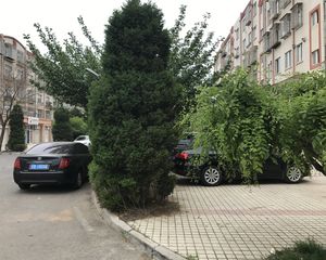 小区地理位置优越地势平坦无论出行或驾车都很便利