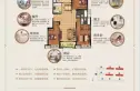 顺达金水湾户型图