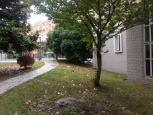 三林·三林世博家园-新浦路251弄·1室·1厅