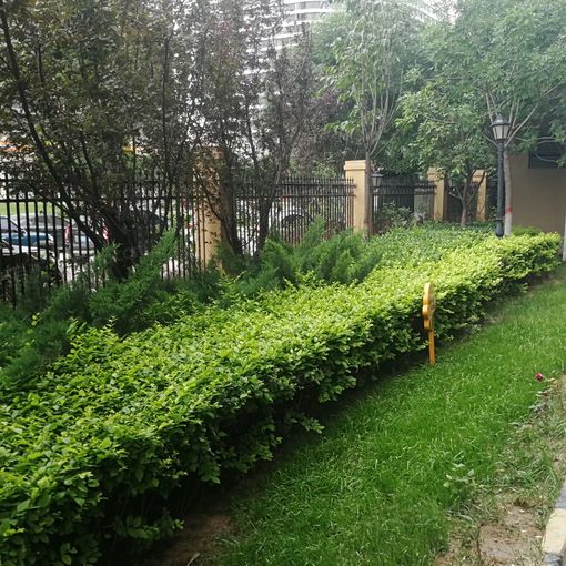  ���⡤δ����C��2��2�� 