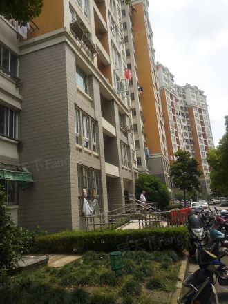 三林世博家园(新浦路251弄)实景图