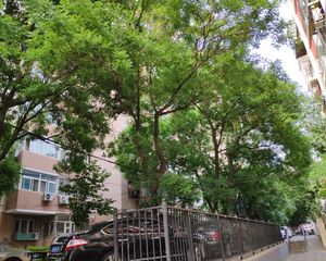 东直门外大街精装南向一居室有客厅