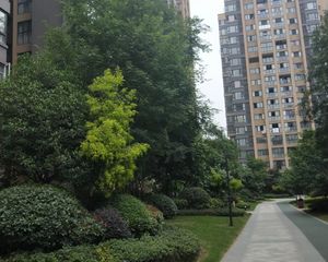 保利城三期3室1厅南