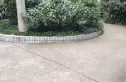 东光街东苑实景图