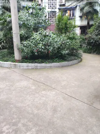 东光街东苑实景图