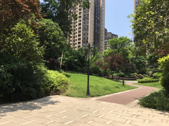 鸥鹏泊雅湾实景图