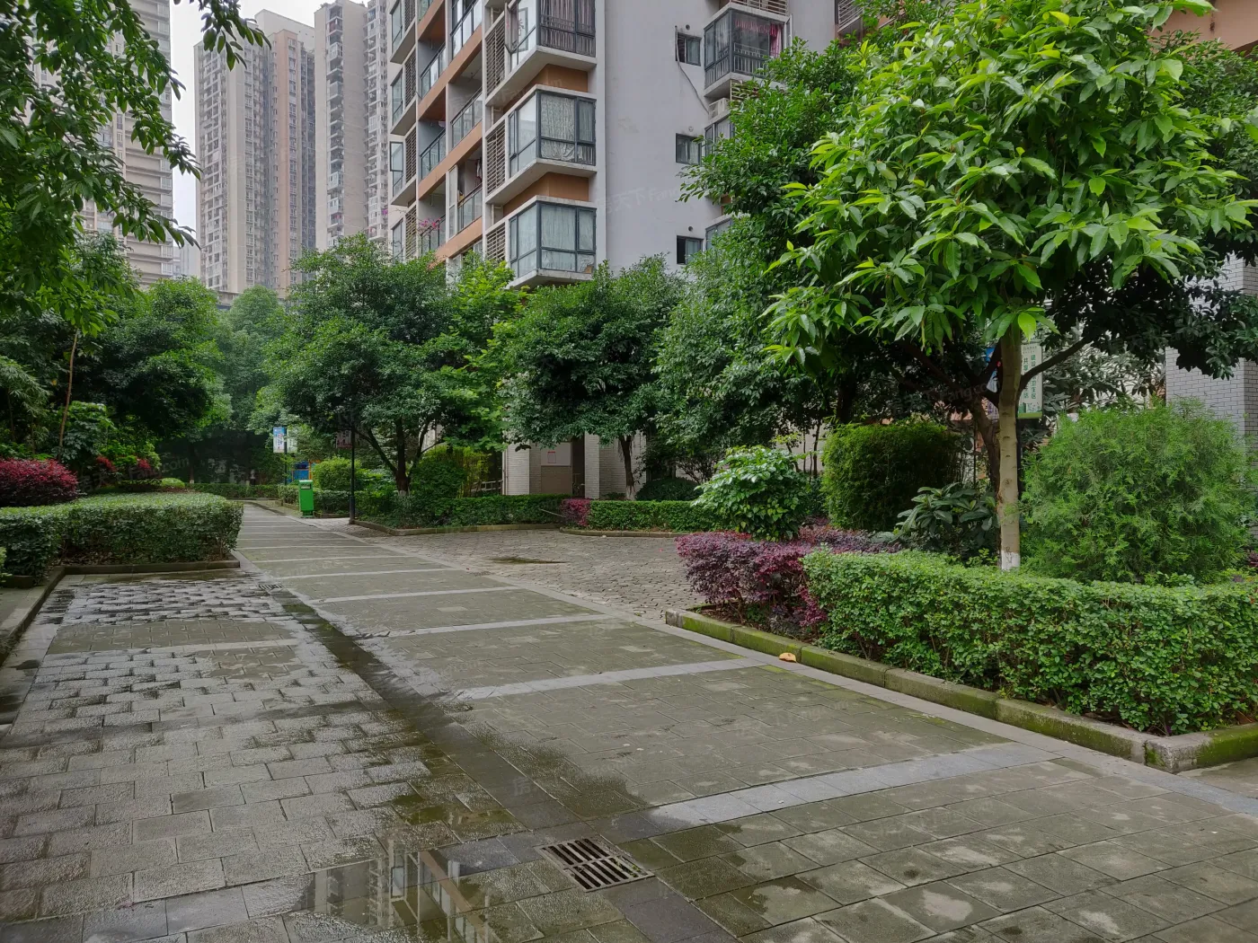 绿洲华府图片相册,户型图,样板间图,装修效果图,实景图-重庆房天下