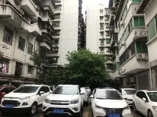 花卉园 花卉勇智苑三房110万