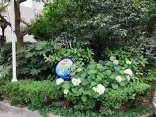 协诚中心大厦公寓2室东朝向599.00万元/套出售