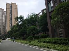 圣采泊尚3室2厅东南西南