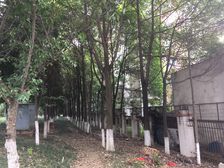 皇经楼一期2室1厅东南