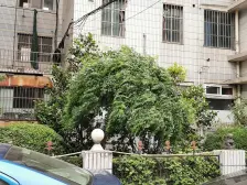 内环内+静安区+双梯队+单价低+全明