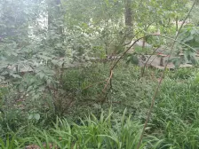 房子位置好,地段好,住家清静,生活方便,出行方便!