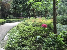 观音桥 中凯翠海朗园三房190万