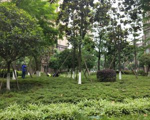 圣采泊尚 3室1厅 北