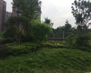 保利MALL 天虹MALL 出行便利 高铁站近 双地铁