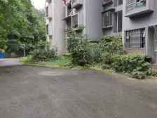 石坪桥 嘉铠街坊邻居二房75万