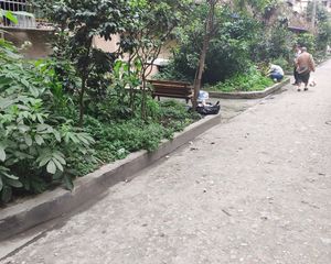 东光街9号2室1厅南