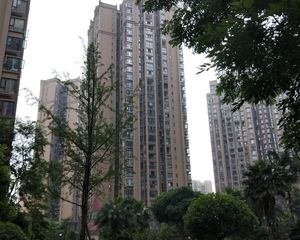 圣采泊尚 3室2厅 南 北