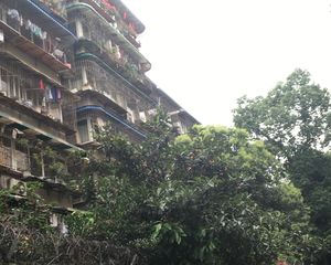 新13号院3室2厅南北