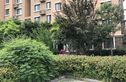青特城别墅实景图