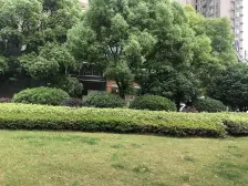 滨江大两房诚售视野好,精装2改3房,看房方便