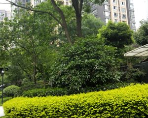 保利城一期3室1厅东南
