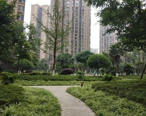 圣采泊尚3室2厅南北