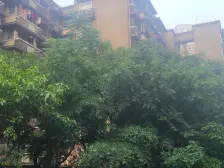 天星桥 工读校三房97万