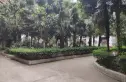 东光街东苑实景图