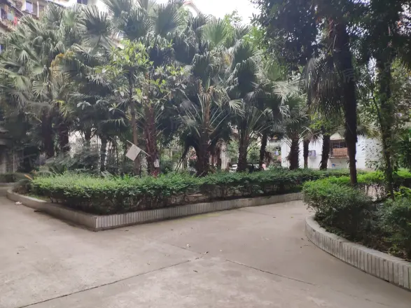 东光街东苑实景图