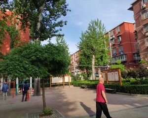东直门外大街(朝阳)2室1厅南北