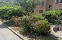 杏林山庄三期实景图