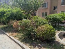 杏林三期一室小户型,背靠大黑山。天然氧吧。