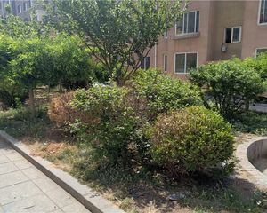 杏林三期一室小户型,背靠大黑山。天然氧吧。