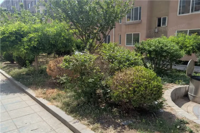 杏林山庄三期实景图