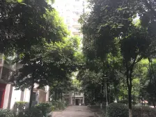 亚热带雅居 1室0厅 东南