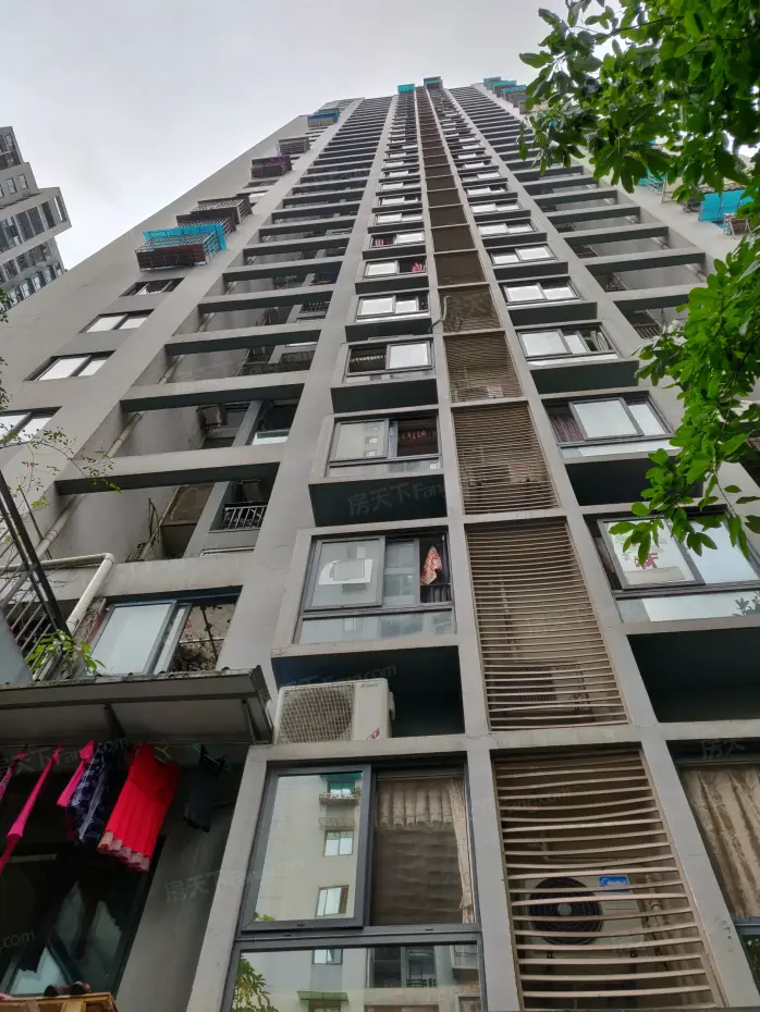 嘉铠街坊邻居
