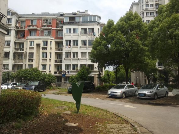 三林世博家园(新浦路199弄)实景图