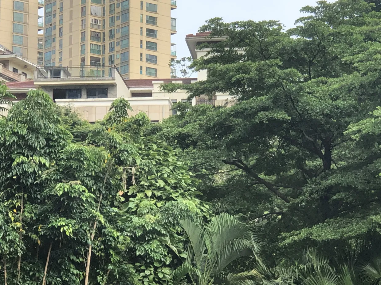 深业紫麟山花园