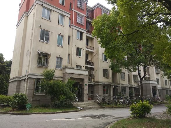 三林世博家园(新浦路199弄)实景图