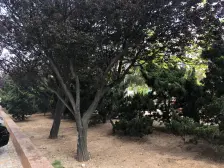 新上新财富 带租出售 房子南向 保持好