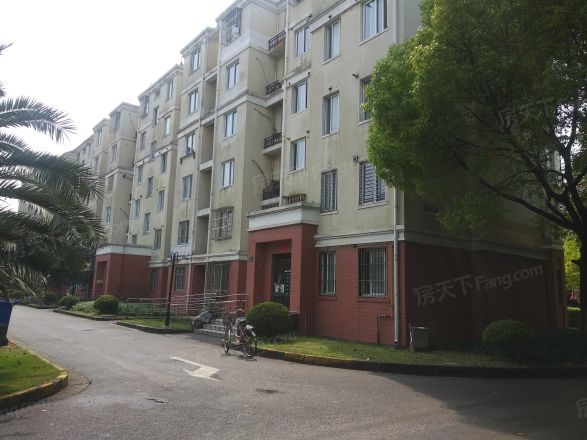 三林世博家园(板泉路2101弄)实景图