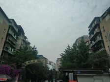 太平盛世B区4室3厅南北东南西南