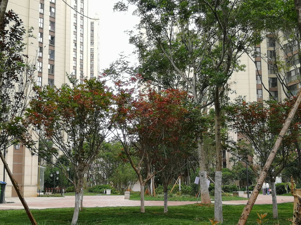 小区相关图