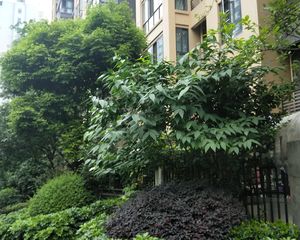 保利城二期3室2厅南